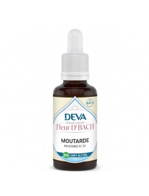 https://www.louis-herboristerie.com/78959-home_default/orme-sans-alcool-bio-force-et-perfection-elixir-floral-de-bach-30-ml-deva.jpg Image 78959 supplémentaire pour Orme Sans Alcool Bio - Force et Perfection Élixir Floral de Bach 30 ml - Deva