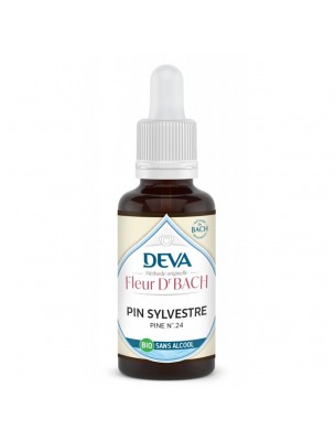 https://www.louis-herboristerie.com/78960-home_default/pin-sylvestre-sans-alcool-bio-repentir-et-humilite-elixir-floral-de-bach-30-ml-deva.jpg Image 78960 supplémentaire pour Pin sylvestre Sans Alcool Bio - Repentir et Humilité Élixir Floral de Bach 30 ml - Deva