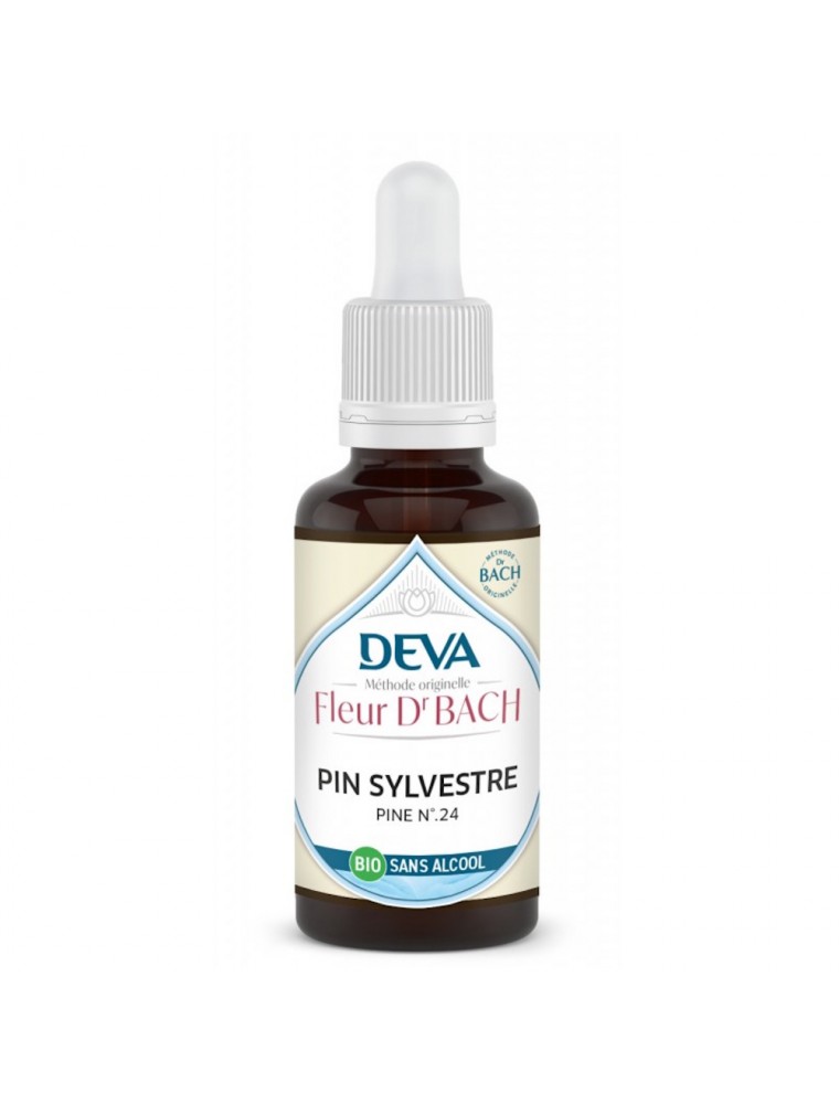 Image principale de la modale pour Pin sylvestre Sans Alcool Bio - Repentir et Humilité Élixir Floral de Bach 30 ml - Deva