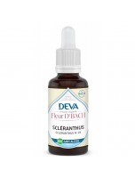 Image de Scléranthus Sans Alcool Bio - Résolution et Esprit de décision Élixir Floral de Bach 30 ml - Deva depuis Fleurs de Bach sans alcool pour votre bien-être | Louis Herboristerie