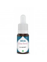 Image de Ail sauvage Bio - Libération des peurs Elixir floral 15 ml - Deva depuis Herboristerie Louis - Produits de phytothérapie et d'herboristerie en ligne (4)