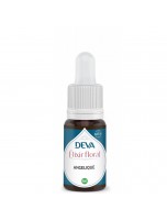 Image de Angélique Bio - Assistance Elixir floral 15 ml - Deva depuis Fleurs de Bach pour un bien-être optimal | Louis Herboristerie