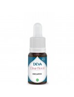 Image de Edelweiss - Bio Don de soi et Lucidité Elixir floral 15 ml - Deva depuis Fleurs de Bach pour un bien-être optimal | Louis Herboristerie (4)