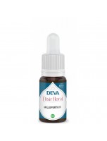 Image de Millepertuis Bio - Protection et Force intérieure Elixir floral 15 ml - Deva depuis Fleurs de Bach pour un bien-être optimal | Louis Herboristerie (7)