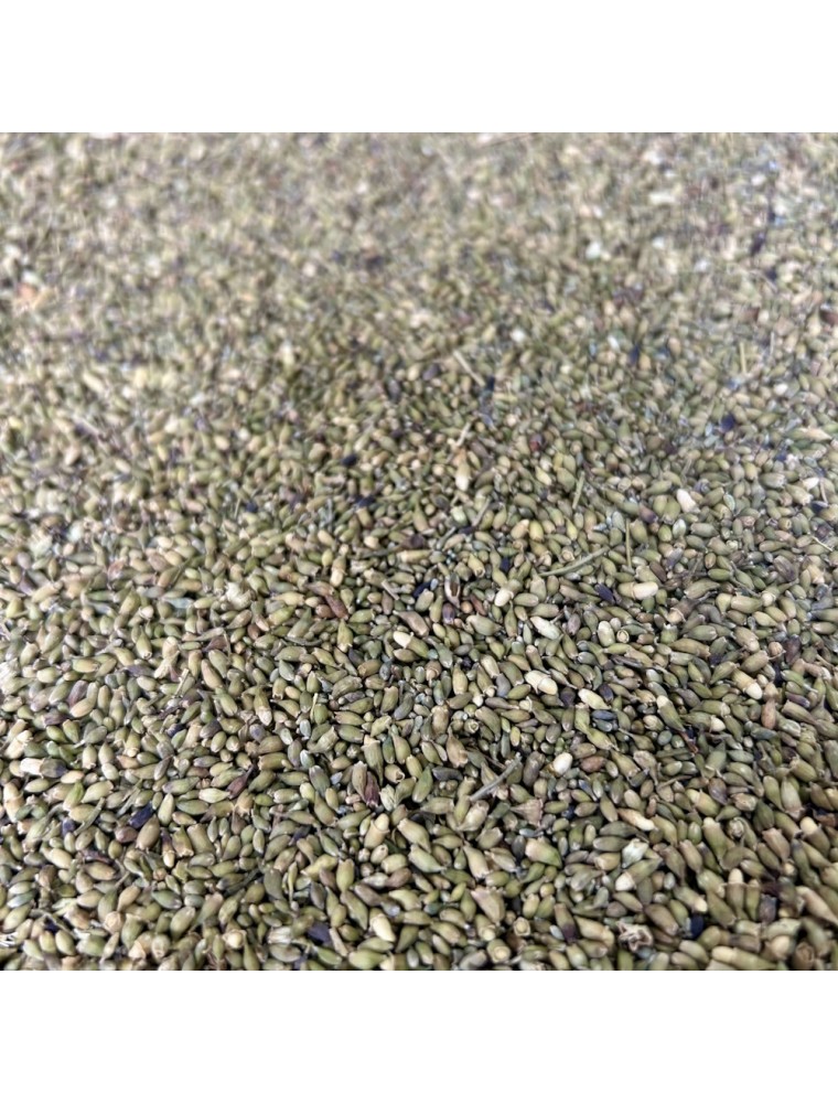 Image principale de la modale pour Benoite - Sommité coupée 100g - Tisane de Geum urbanum