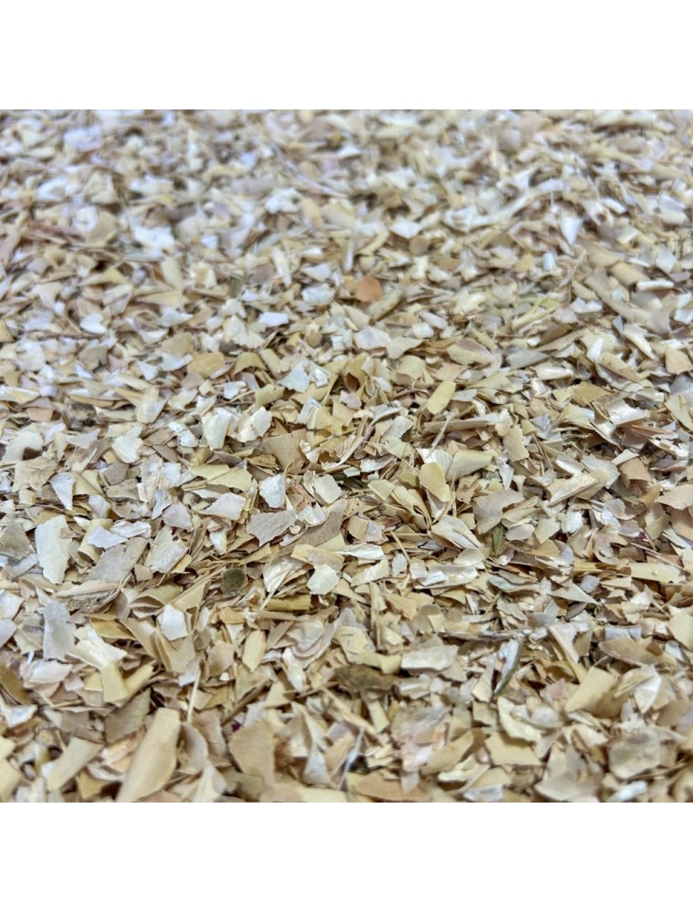 Image principale de la modale pour Haricot - Cosse coupée 100g - Tisane de Phaseolus vulgaris