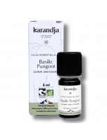 Image de Basilic Pungent Bio - Huile Essentielle d'Ocimum gratissimum 5 ml - Karandja depuis Huiles essentielles Bio pures et naturelles | Louis Herboristerie