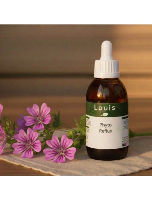 Image de Phyto Reflux Bio - Teinture mère de plantes 125 ml depuis Achetez les produits Louis à l'herboristerie Louis (15)