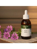 Image de Phyto Reflux Bio - Teinture mère de plantes 125 ml depuis Teintures-mères pour vos besoins de santé | Louis Herboristerie (15)