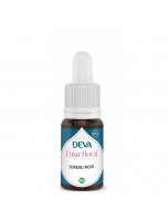 Image de Sureau Noir Bio - Régénération, purification et vitalité Elixir floral 15 ml - Deva depuis Elixirs Floraux Unitaires Deva | Louis Herboristerie (3)