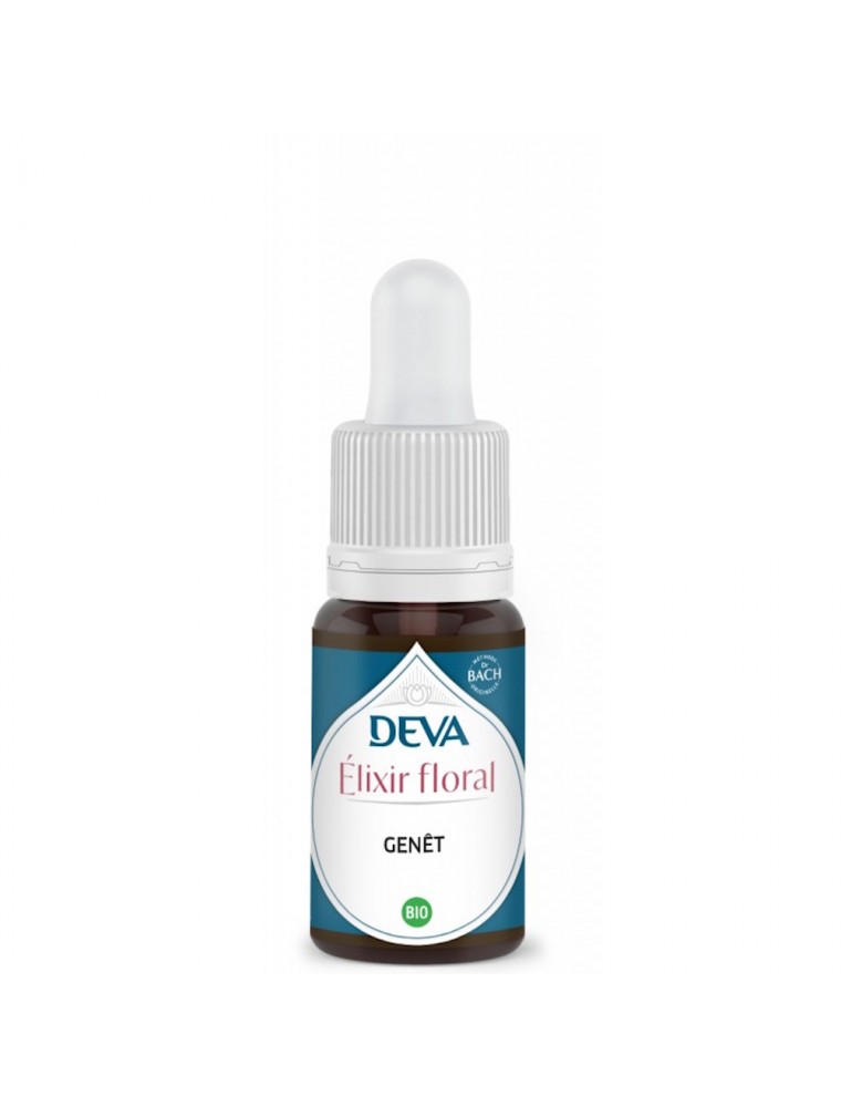 Image principale de la modale pour Genêt Bio - Persévérance et Motivation Elixir floral 15 ml - Deva