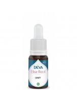 Image de Genêt Bio - Persévérance et Motivation Elixir floral 15 ml - Deva depuis Elixirs Floraux Unitaires Deva | Louis Herboristerie (2)