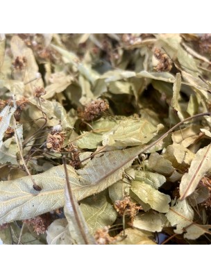 https://www.louis-herboristerie.com/79302-home_default/tilleul-bio-bractees-entieres-25g-tisane-tilia-platyphyllos-scop.jpg Image 79302 supplémentaire pour Tilleul Bio - Bractées entières 25g - Tisane Tilia platyphyllos Scop.