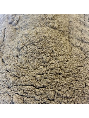 https://www.louis-herboristerie.com/79309-home_default/ache-des-marais-celeri-graine-poudre-100g-tisane-d-apium-graveolens.jpg Image 79309 supplémentaire pour Ache des Marais (Céleri) - Graine Poudre 100g - Tisane d'Apium graveolens