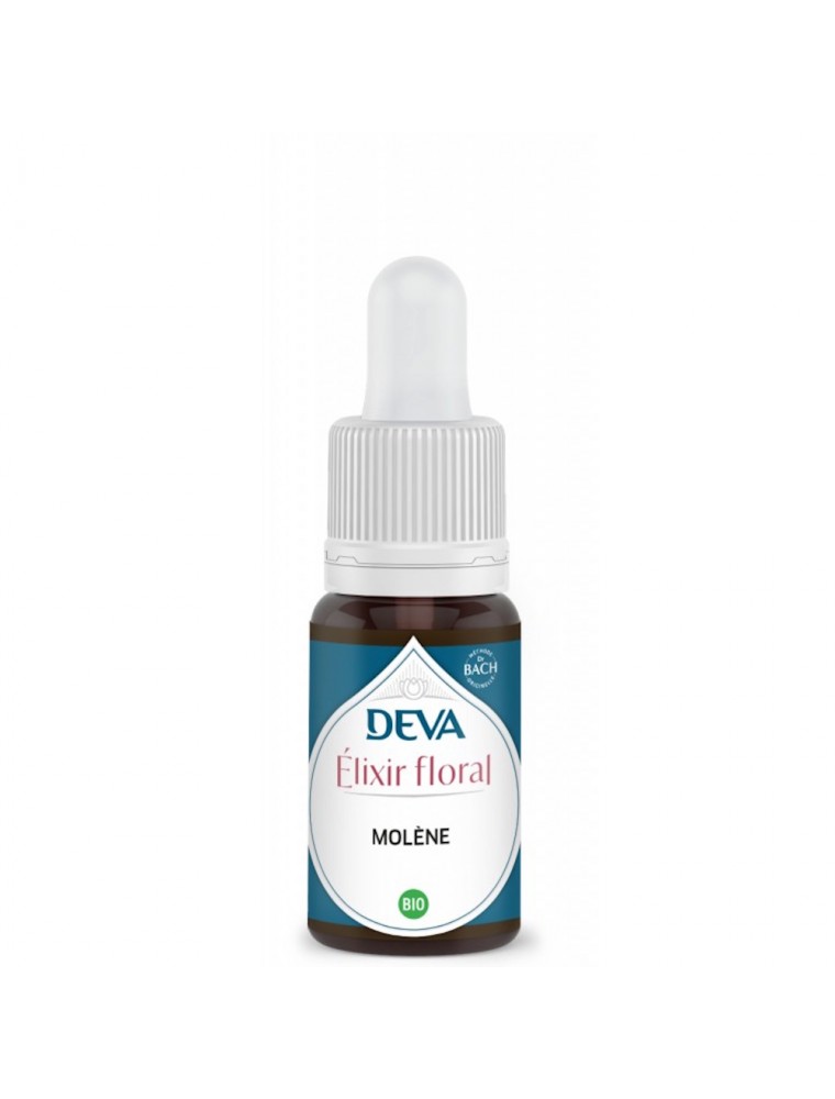 Image principale de la modale pour Molène Bio - Ecoute intérieure, Droiture et Rigueur morale Elixir floral 15 ml - Deva