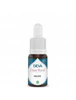 Image de Molène Bio - Ecoute intérieure, Droiture et Rigueur morale Elixir floral 15 ml - Deva depuis Herboristerie Louis - Produits de phytothérapie et d'herboristerie en ligne (116)