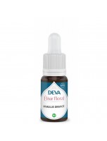 Image de Mimulus Orangé Bio - Libération des Peurs Elixir floral 15 ml - Deva depuis Herboristerie Louis - Produits de phytothérapie et d'herboristerie en ligne (116)