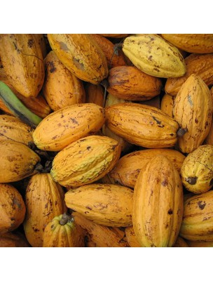 https://www.louis-herboristerie.com/79598-home_default/poudre-de-cacao-fibre-potassium-et-magnesium-superfoods-200g-purasana.jpg Image 79598 supplémentaire pour Poudre de Cacao - Fibre, Potassium et Magnésium SuperFoods 200g - Purasana