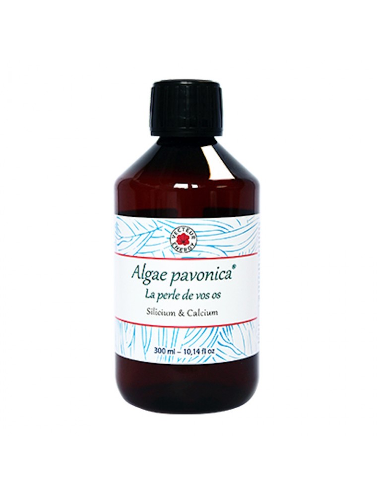 Image principale de la modale pour Algae Padina pavonica - Articulations 300 ml - Vecteur Energy