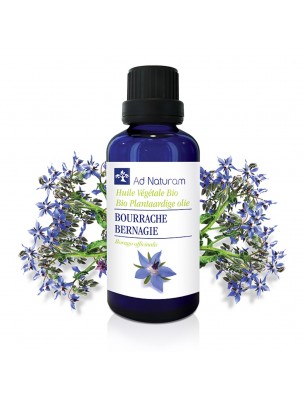 Image de Bourrache Bio - Huile Végétale de Borago officinalis 50 ml - Ad Naturam depuis ▷ Meilleures ventes de plantes médicinales à l'herboristerie