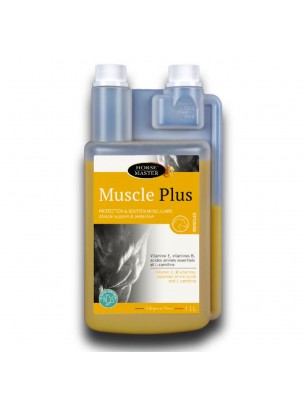 Image de Muscle plus - Renforce la Musculature des chevaux 1L - Horse Master depuis ▷ Meilleures ventes de plantes médicinales à l'herboristerie