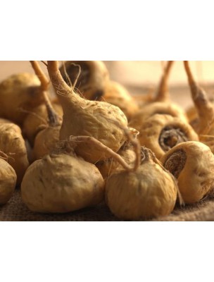 https://www.louis-herboristerie.com/8007-home_default/maca-bio-glules-purasana.jpg
