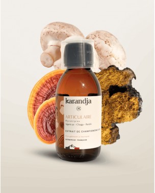Image de Mycotriplex Articulaire Bio - Extraits Aqueux de Champignons 150 ml - Karandja depuis Achetez les produits Karandja à l'herboristerie Louis