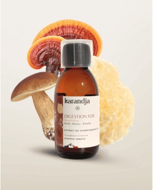 Image de Mycotriplex Digestion Foie Bio - Extraits Aqueux de Champignons 150 ml - Karandja depuis Achetez les produits Karandja à l'herboristerie Louis
