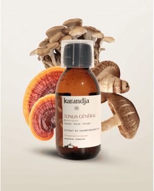 Image de Mycotriplex Tonus Général Bio - Extraits Aqueux de Champignons 150 ml - Karandja depuis Achetez les produits Karandja à l'herboristerie Louis (2)