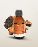 Image de Chaga Bio - Extrait Aqueux de Champignons 150 ml - Karandja depuis Champignons médicinaux pour l'immunité | Louis Herboristerie