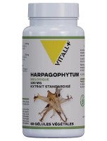 Image de Harpagophytum Bio 400 mg - Articulations 60 gélules végétales - Vit'all+ depuis Arthrose : Soulagez vos articulations | Louis Herboristerie (3)