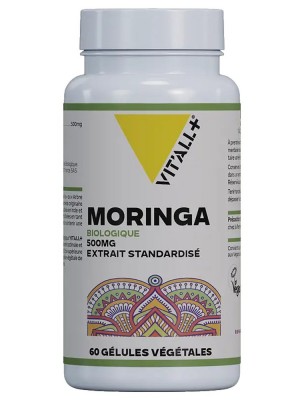 https://www.louis-herboristerie.com/80195-home_default/moringa-bio-500-mg-vitalite-60-gelules-vegetales-vit-all.jpg Image 80195 supplémentaire pour Moringa Bio 500 mg - Vitalité 60 gélules végétales - Vit'all+