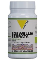 Image de Boswellia Serrata Bio 230 mg - Articulations 60 gélules végétales - Vit'all+ depuis Arthrose : Soulagez vos articulations | Louis Herboristerie