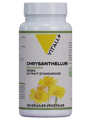 Image 80229 supplémentaire pour Chrysanthellum Bio 500 mg - Équilibre hépatique 120 gélules végétales - Vit'all+