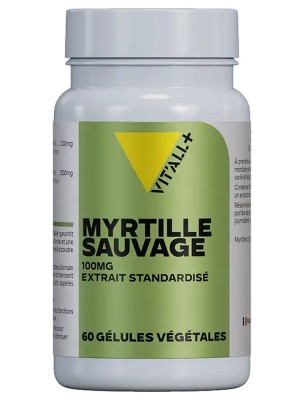 https://www.louis-herboristerie.com/80260-home_default/myrtille-sauvage-100-mg-vision-et-circulation-60-gelules-vegetales-vit-all.jpg Image 80260 supplémentaire pour Myrtille Sauvage 100 mg - Vision et Circulation 60 gélules végétales - Vit'all+