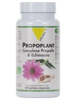 Image de Propoplant Bio Propolis et Échinacée - Défenses naturelles 120 gélules végétales - Vit'all+ depuis Formules de Plantes en Gélules | Louis Herboristerie (3)