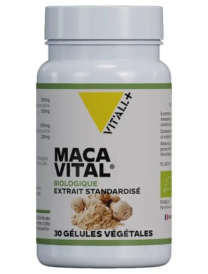 https://www.louis-herboristerie.com/80338-home_default/maca-vital-bio-500-mg-tonus-et-vitalite-30-gelules-vegetales-vit-all.jpg Image 80338 supplémentaire pour Maca Vital Bio 500 mg - Tonus et Vitalité 30 gélules végétales - Vit'all+