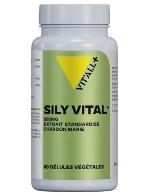 https://www.louis-herboristerie.com/80355-home_default/sily-vital-chardon-marie-500-mg-digestion-et-foie-60-gelules-vegetales-vit-all.jpg Image 80355 supplémentaire pour Sily Vital Chardon-Marie 500 mg - Digestion et Foie 60 gélules végétales - Vit'all+
