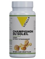 Image de Champignon du Soleil Bio 400 mg Agaricus blazei - Défenses naturelles 60 gélules végétales - Vit'all+ depuis Produits pour Sommeil et Énergie | Louis Herboristerie (6)