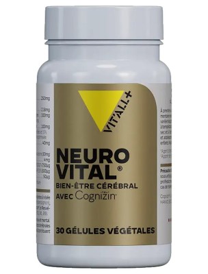 https://www.louis-herboristerie.com/80479-home_default/neuro-vital-avec-cognizin-memoire-et-concentration-30-gelules-vegetales-vit-all.jpg Image 80479 supplémentaire pour Neuro Vital avec Cognizin - Mémoire et Concentration 30 gélules végétales - Vit'all+