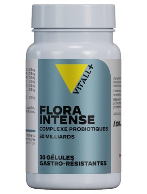 https://www.louis-herboristerie.com/80535-home_default/flora-intense-50-milliards-7-souches-flore-intestinale-30-gelules-gastro-resistantes-vit-all.jpg Image 80535 supplémentaire pour Flora Intense 50 milliards 7 souches - Flore intestinale 30 gélules gastro-résistantes - Vit'all+