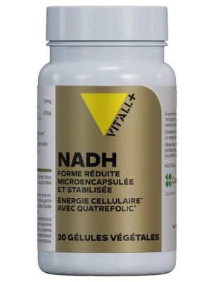 https://www.louis-herboristerie.com/80603-home_default/nadh-forme-reduite-microencapsulee-et-vitamine-b9-energie-30-gelules-vegetales-vit-all.jpg Image 80603 supplémentaire pour NADH Forme réduite Microencapsulée et Vitamine B9 - Énergie 30 gélules végétales - Vit'all+