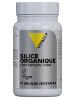 Image de Silice Organique 25 mg Acide Orthosilicique - Cheveux et Articulations 30 gélules végétales - Vit'all+ depuis Solutions Naturelles pour votre Santé | Louis Herboristerie (97)