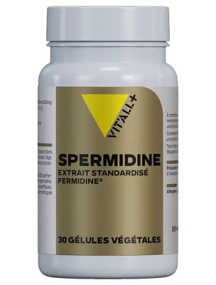 https://www.louis-herboristerie.com/80651-home_default/spermidine-6-mg-fermidine-germe-de-ble-longevite-30-gelules-vegetales-vit-all.jpg Image 80651 supplémentaire pour Spermidine 6 mg Fermidine Germe de Blé - Longévité 30 gélules végétales - Vit'all+