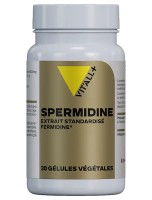 Image de Spermidine 6 mg Fermidine Germe de Blé - Longévité 30 gélules végétales - Vit'all+ depuis Produits pour Sommeil et Énergie | Louis Herboristerie (26)