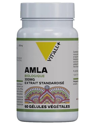 Image 80712 supplémentaire pour Amla Bio 300 mg - Digestion et Tonus 60 gélules végétales - Vit'all+