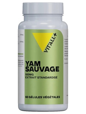 https://www.louis-herboristerie.com/80727-home_default/yam-sauvage-500mg-menopause-60-gelules-vegetales-vit-all.jpg Image 80727 supplémentaire pour Yam sauvage 500mg - Ménopause 60 gélules végétales - Vit'all+