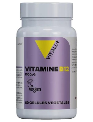 Image de Vitamine B12 (Méthylcobalamine) - Tonus 60 gélules végétales - Vit'all+ depuis Achetez les produits Vit'All + à l'herboristerie Louis (8)