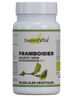 Image de Framboisier Bourgeon Bio - Troubles Féminins 60 gélules végétales - Vit'all+ depuis Solutions Naturelles pour votre Santé | Louis Herboristerie (44)