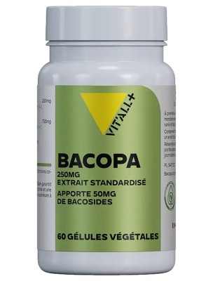 Image de Bacopa 250mg - Mémoire et Concentration 60 gélules végétales - Vit'all+ depuis Achetez les produits Vit'All + à l'herboristerie Louis